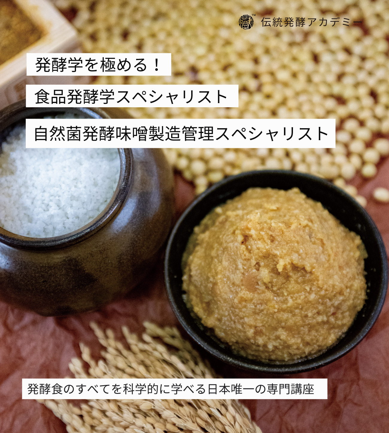 天然味噌作り