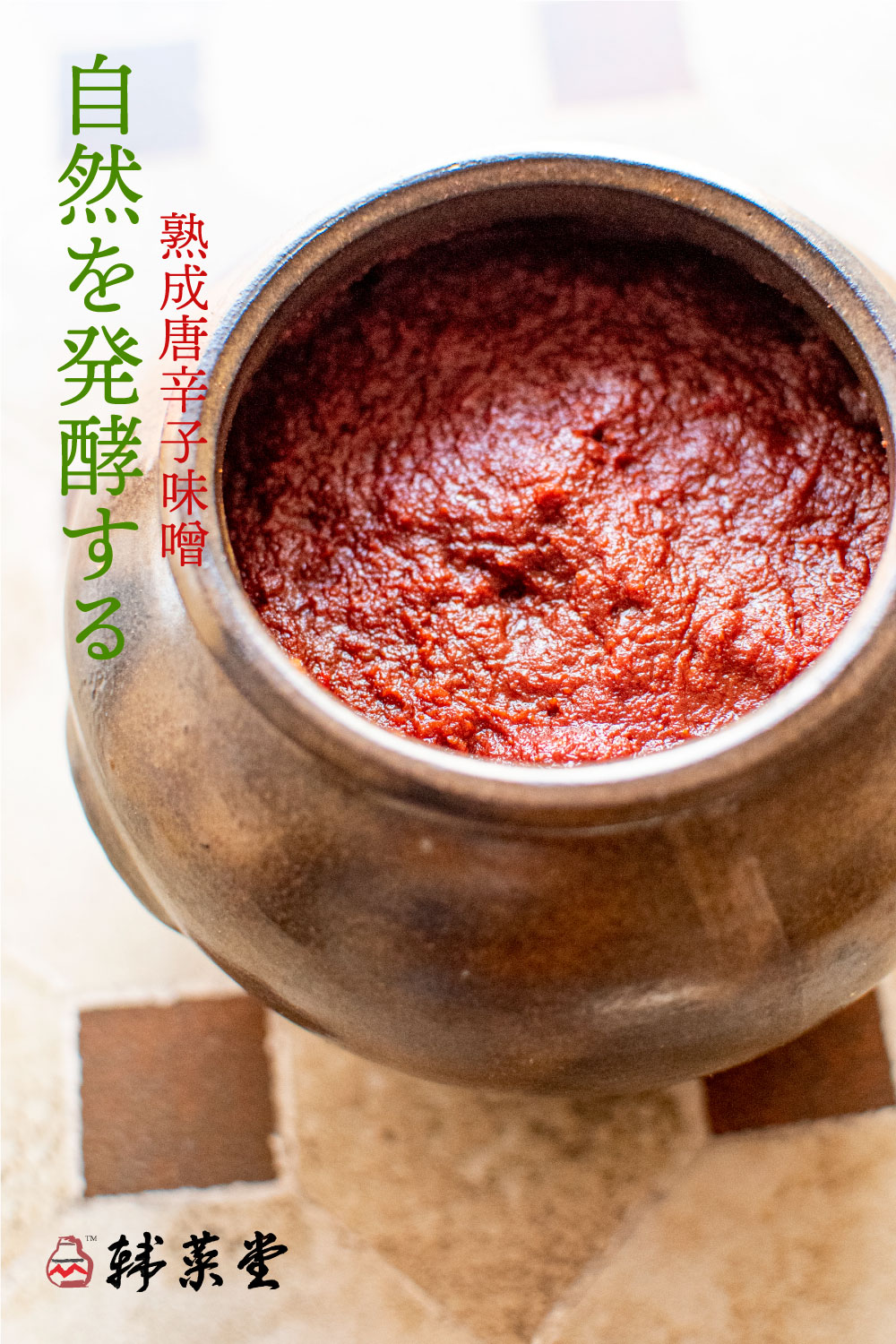 伝統発酵アカデミー コチュジャン
