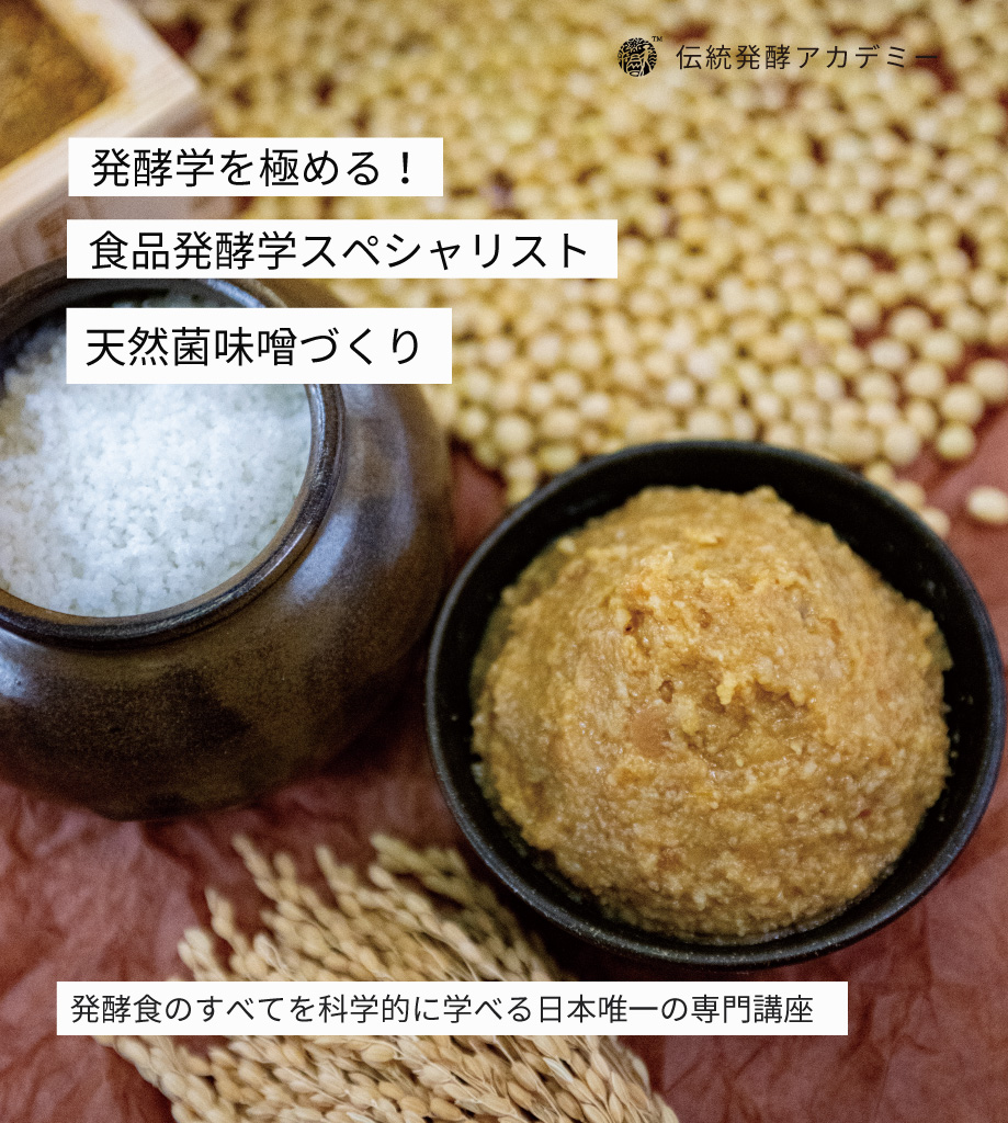 天然麹菌味噌づくり講座、伝統発酵アカデミー