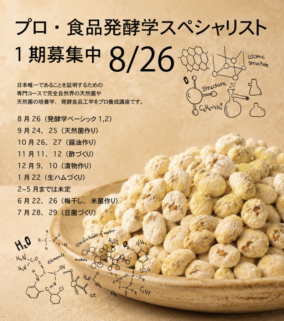 天然麹 豆麹 種菌づくり