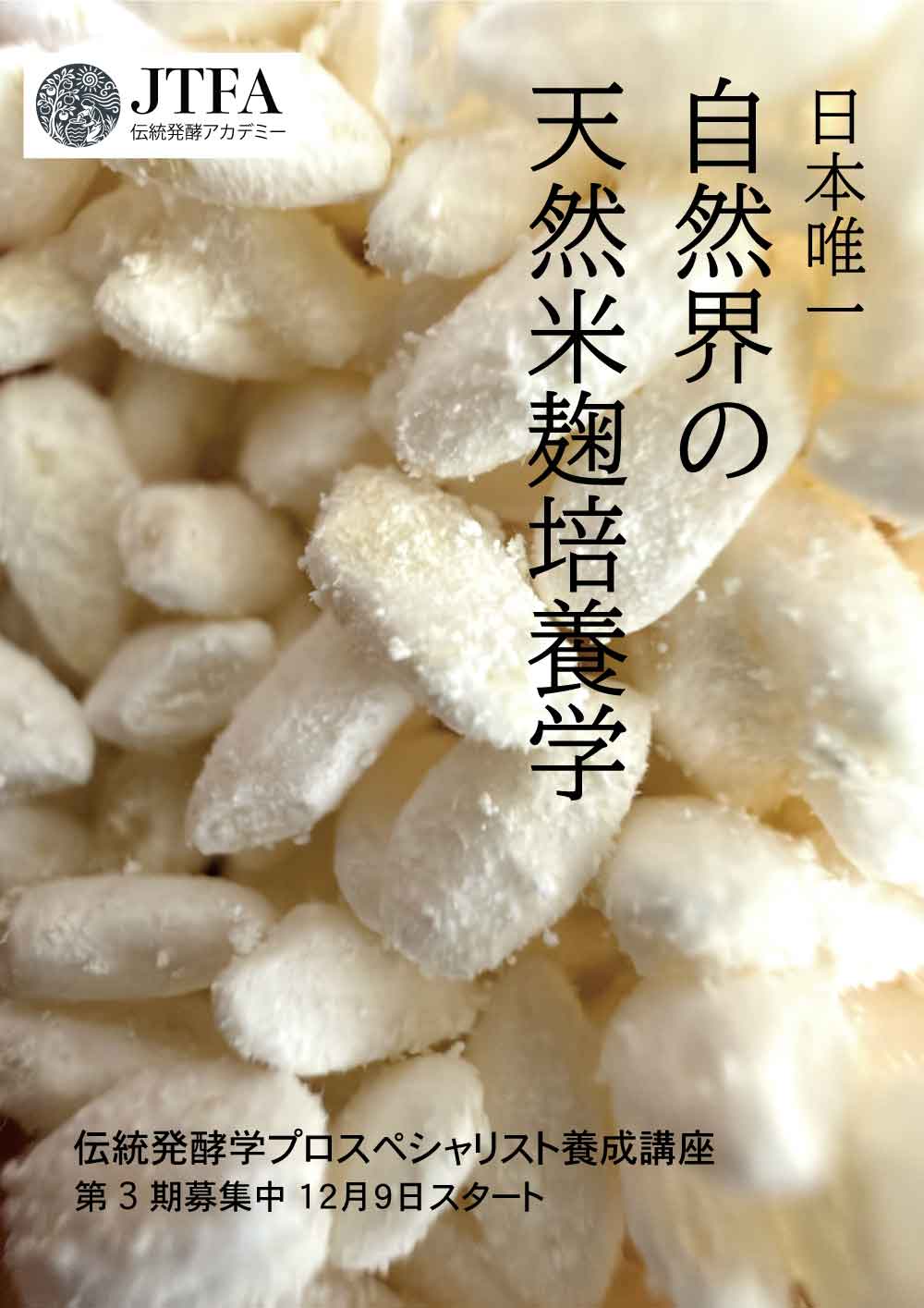天然米麹づくり専門講座