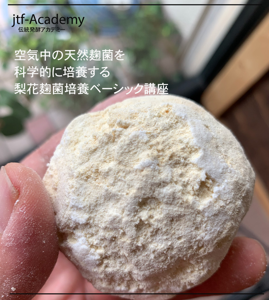梨花菌 日本唯一の天然麹学講座 マイスター講座