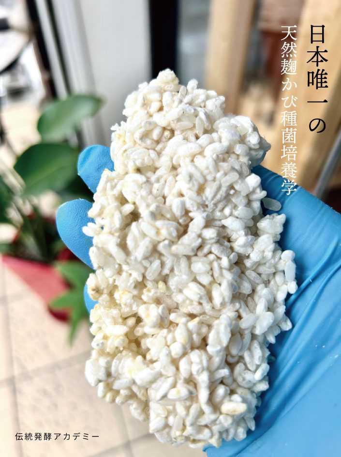 伝統発酵アカデミー麹学講座