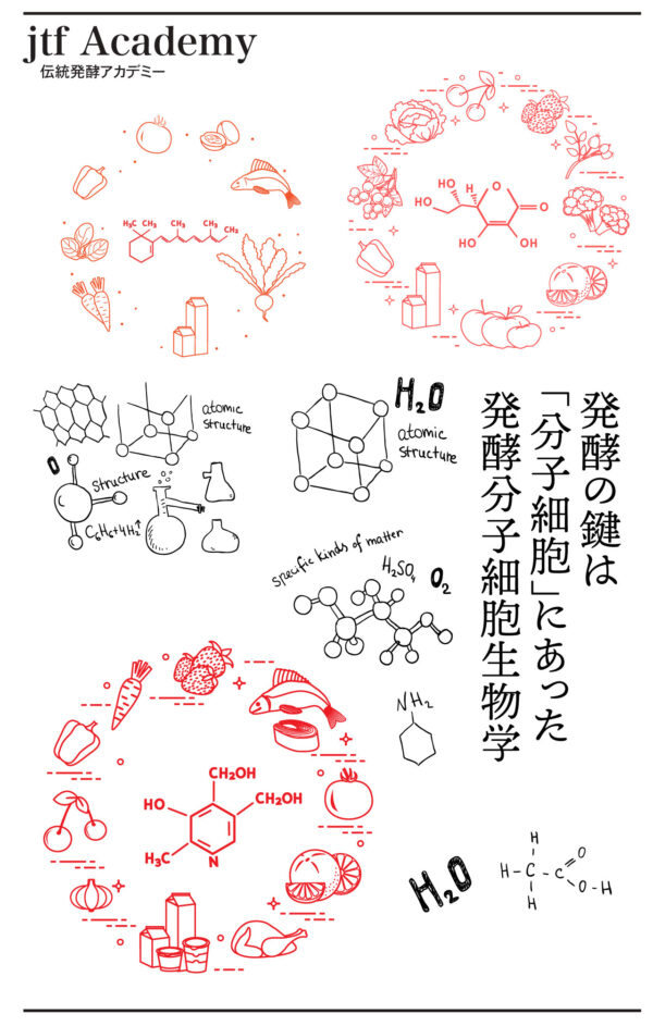 伝統発酵アカデミー