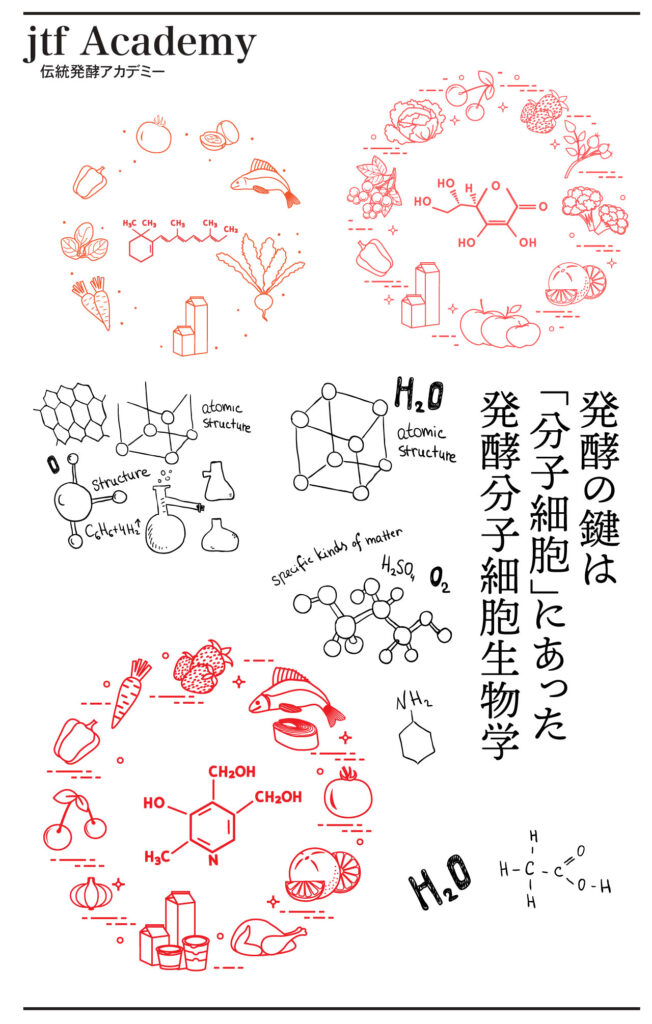 伝統発酵アカデミー
