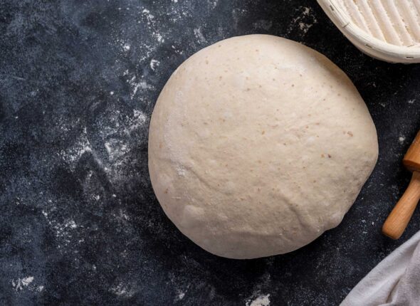 天然酵母づくりプロ 伝統発酵アカデミー