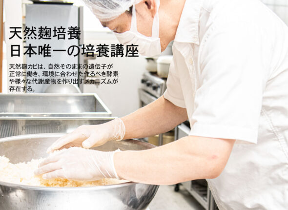 日本唯一 天然菌培養学 伝統発酵アカデミー